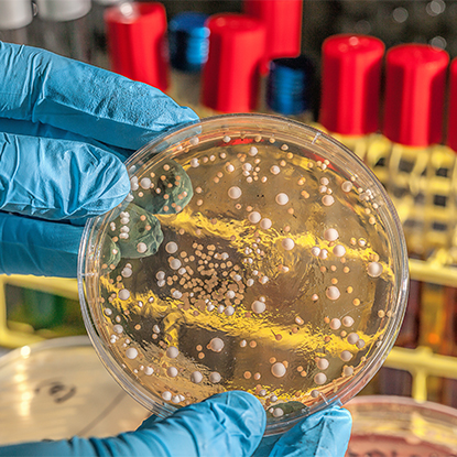 Kiểm soát sức khỏe và bệnh tật